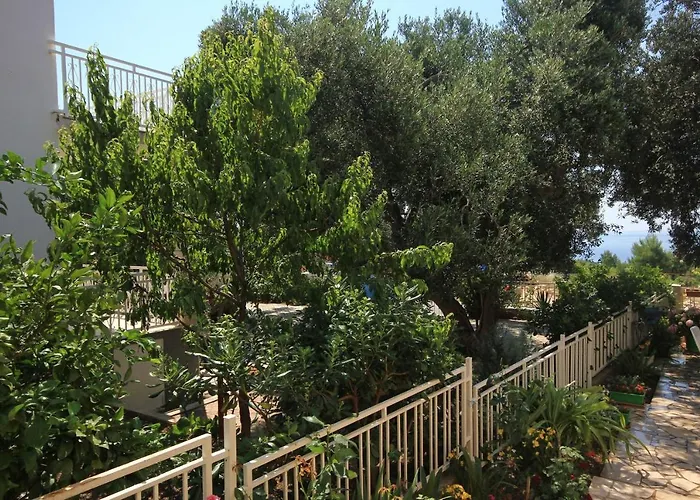 10185b * אורביץ