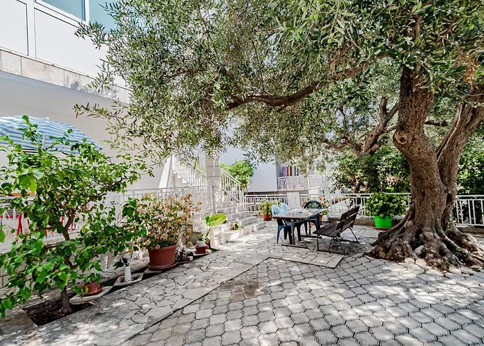 10185b * אורביץ