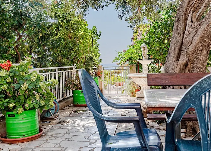 10185b * אורביץ