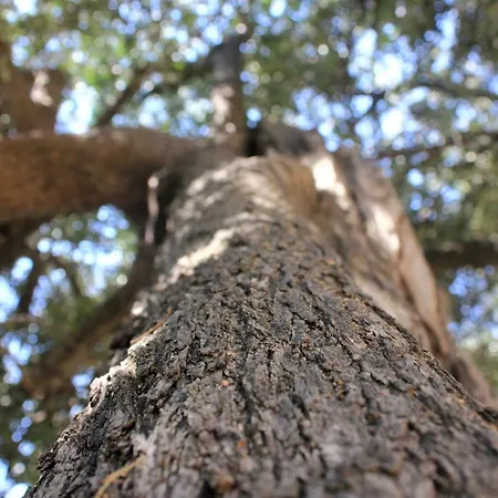 Apartmán 10185b Orebić